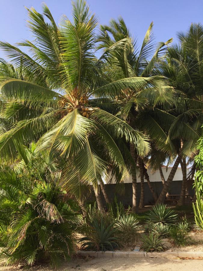 Bubali Gardens Apartment Palm Beach Luaran gambar